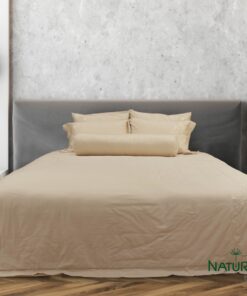 Bộ chăn ga Nature Home Cotton Hoa Mai Vàng